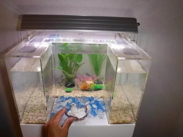 全面アクリル版取り外し可能です。