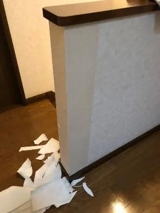 施工前現況