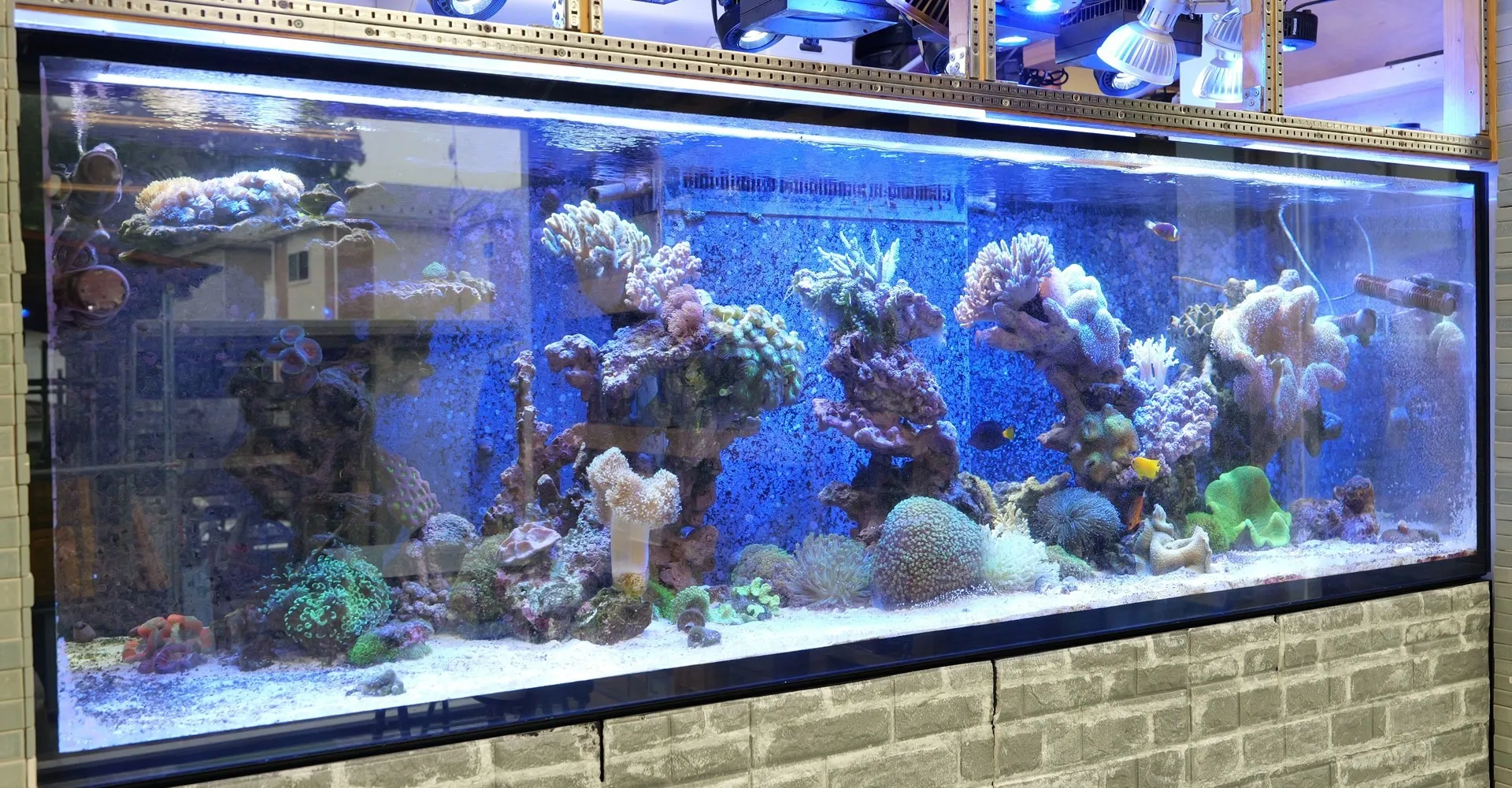 アクアリウムに関する事業も展開