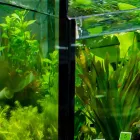 水槽部門